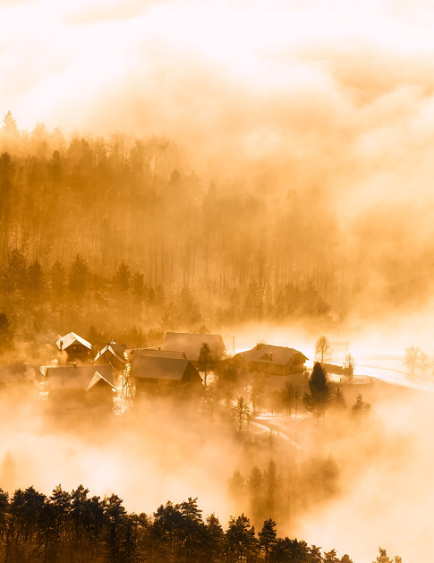 svetovanje in pomoč pri oddaji vaše nepremičnine